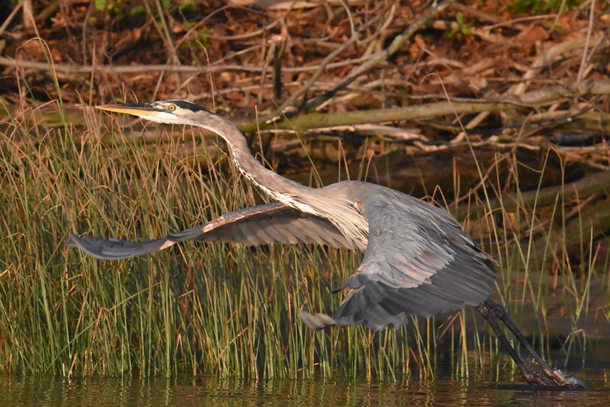 Warm September Mornings on the Hudson River 37