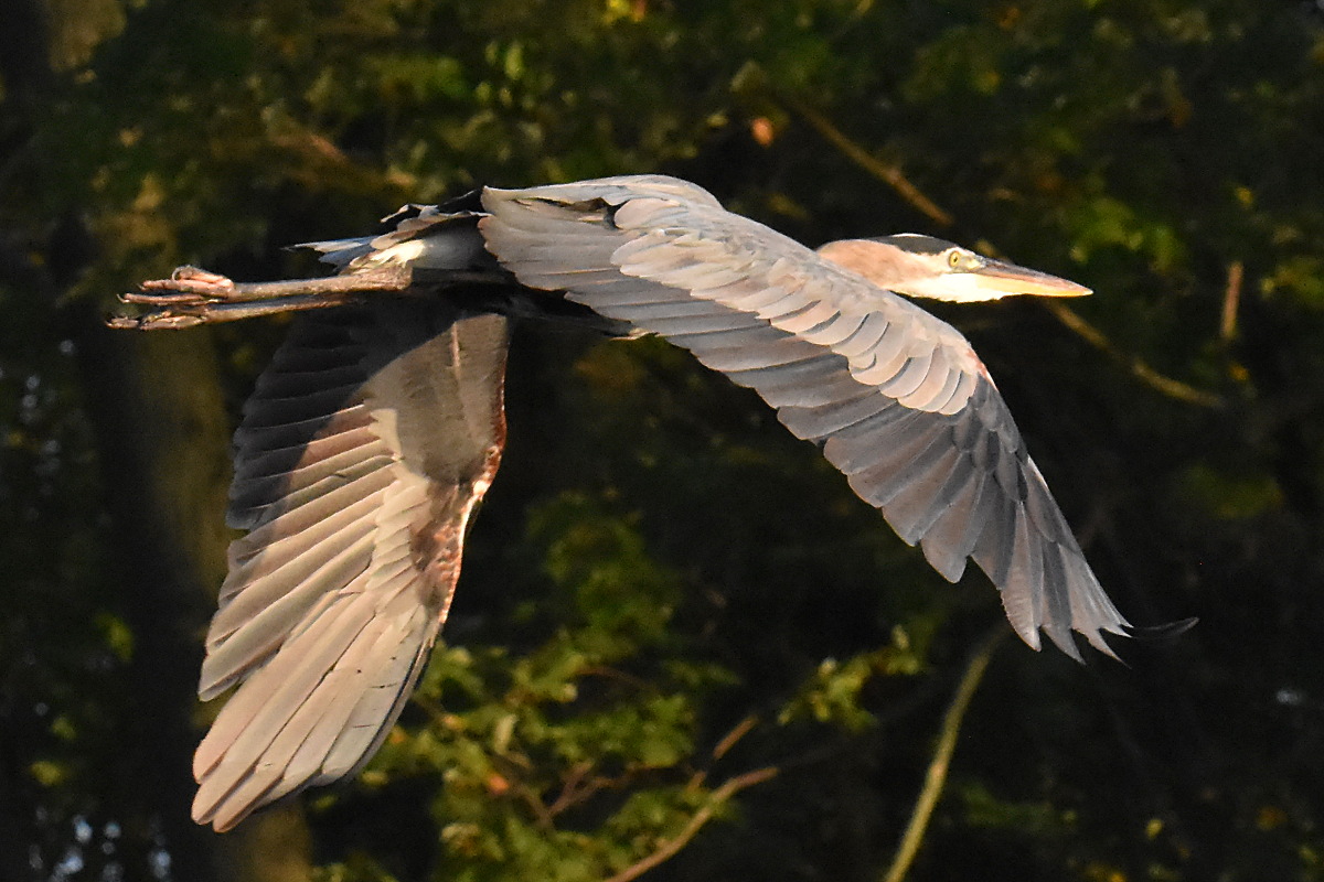 Warm September Mornings on the Hudson River 39