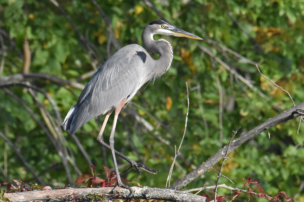 Warm September Mornings on the Hudson River 41