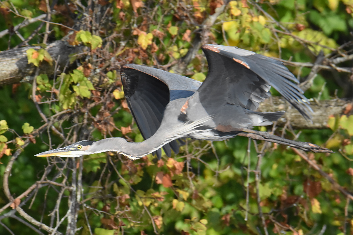Warm September Mornings on the Hudson River 42
