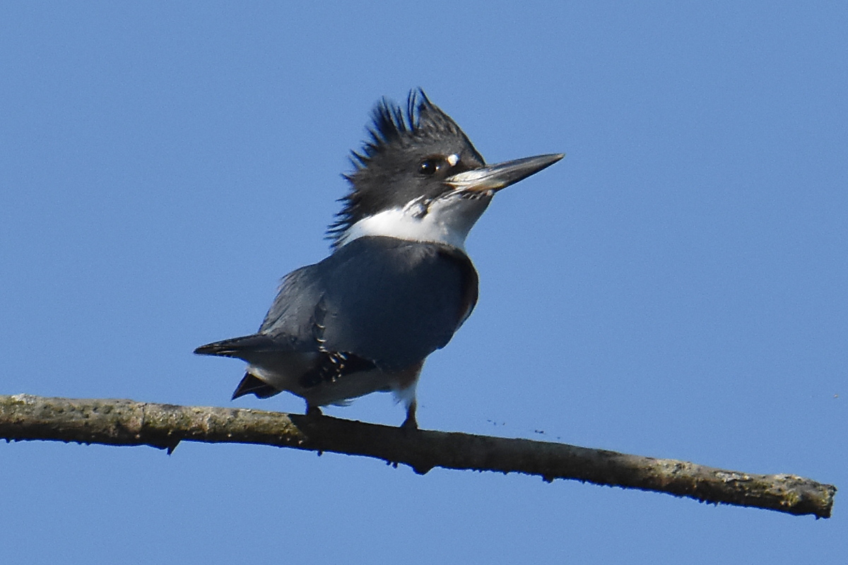 Warm September Mornings on the Hudson River 43