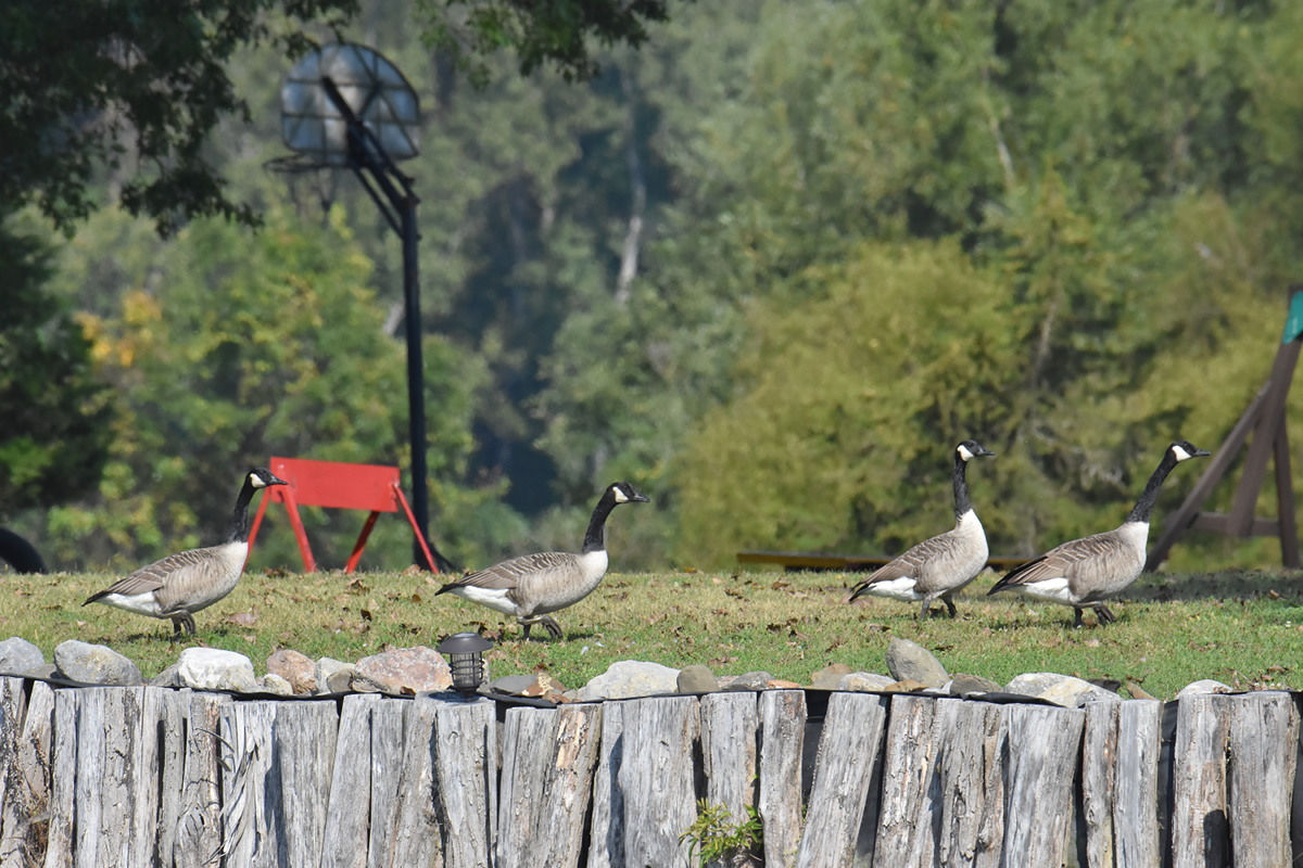 Warm September Mornings on the Hudson River 46