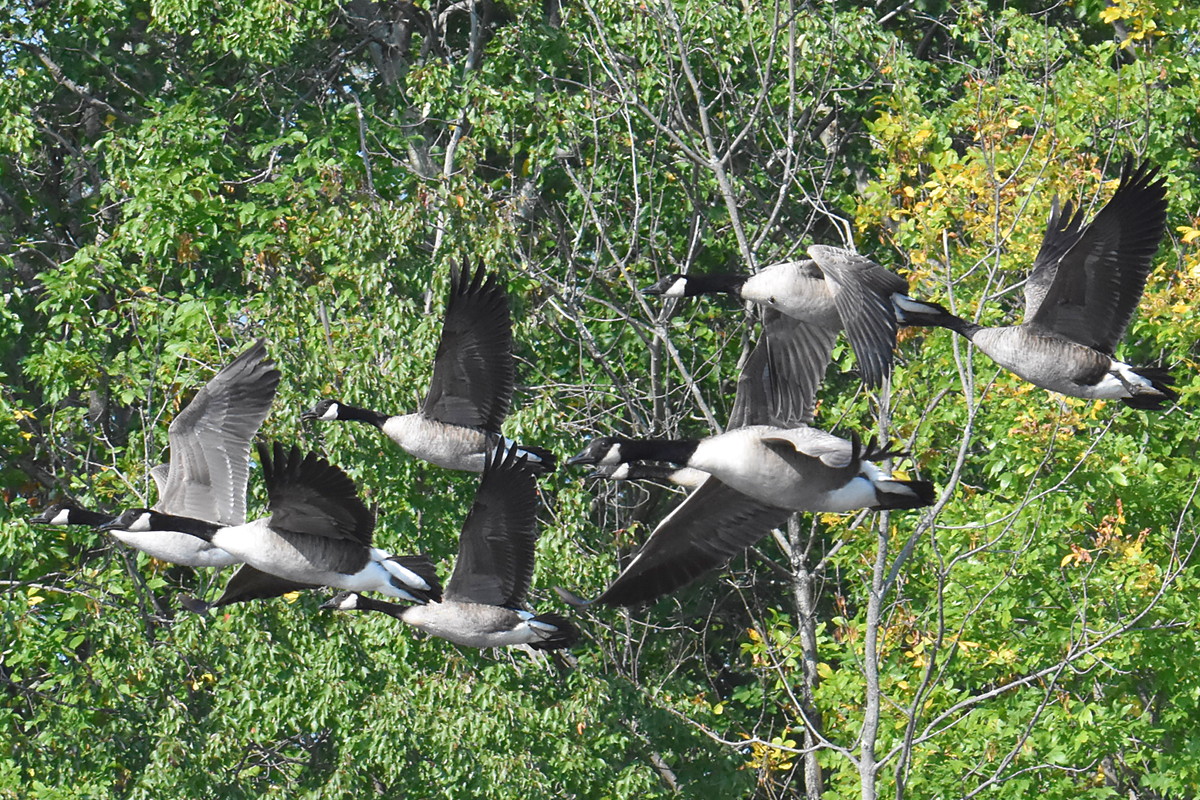 Warm September Mornings on the Hudson River 47