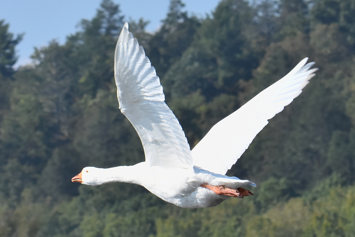 Warm September Mornings on the Hudson River 49