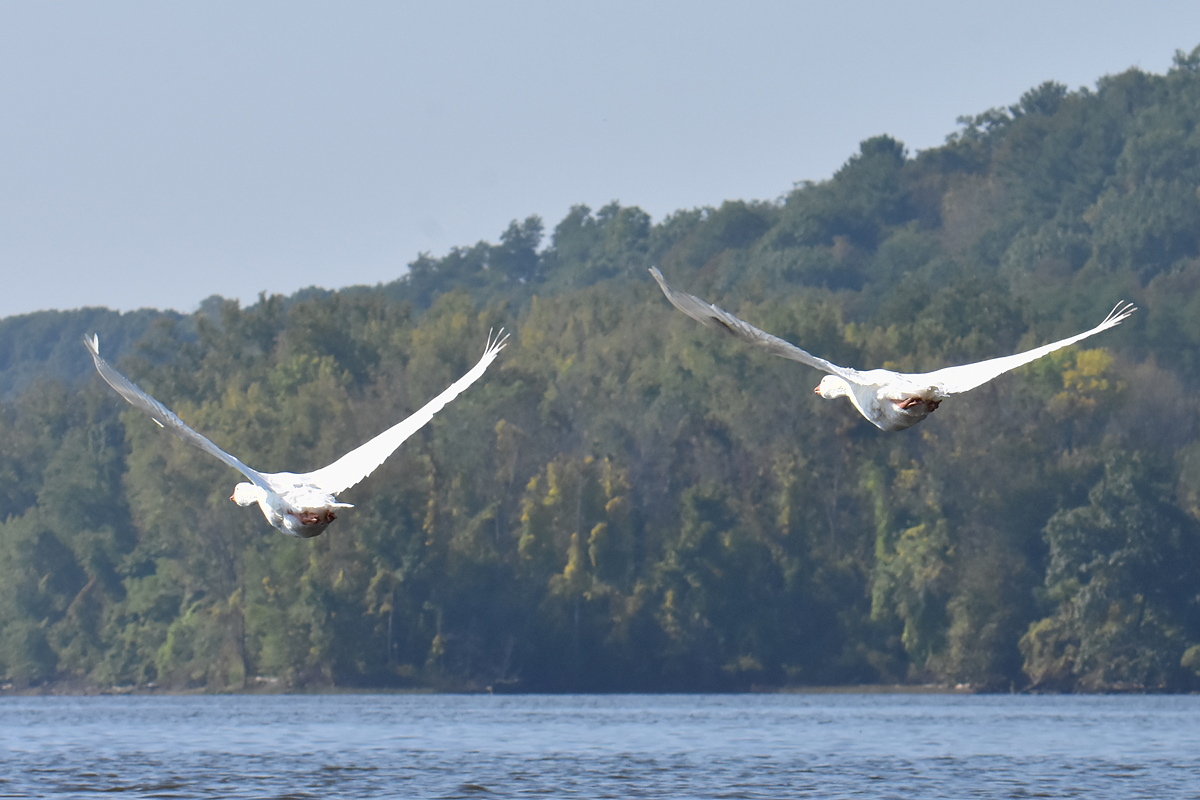 Warm September Mornings on the Hudson River 50