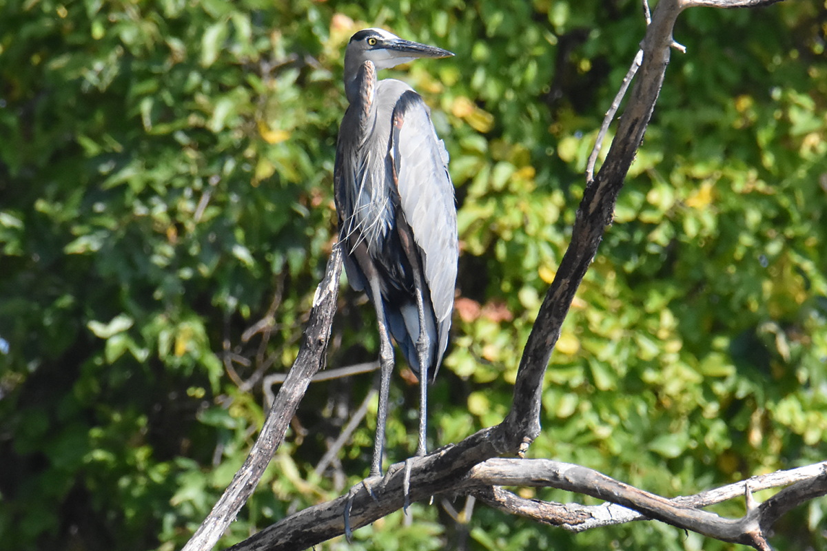 Warm September Mornings on the Hudson River 51