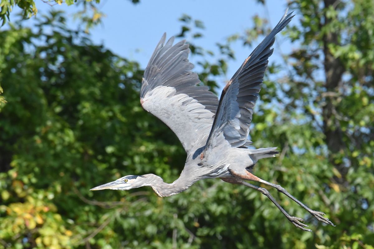 Warm September Mornings on the Hudson River 52