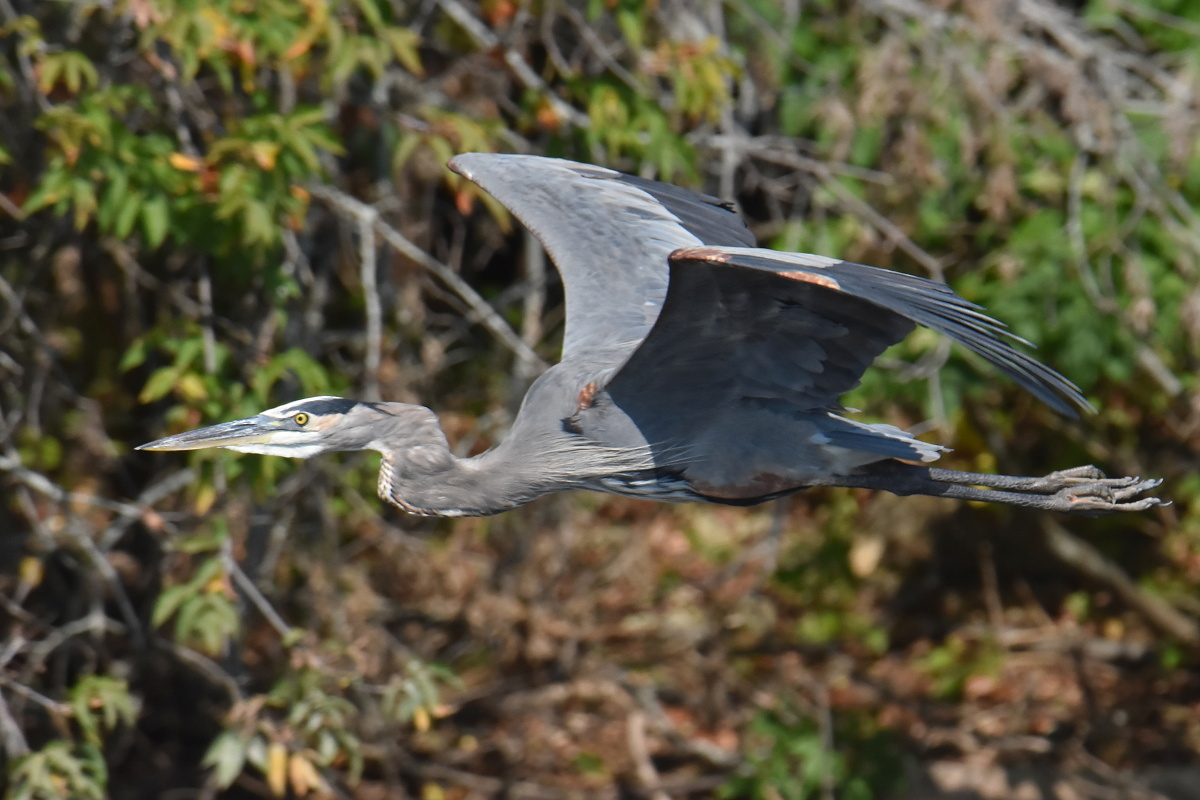 Warm September Mornings on the Hudson River 53