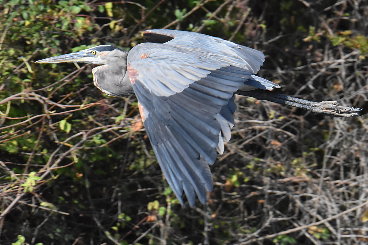 Warm September Mornings on the Hudson River 54