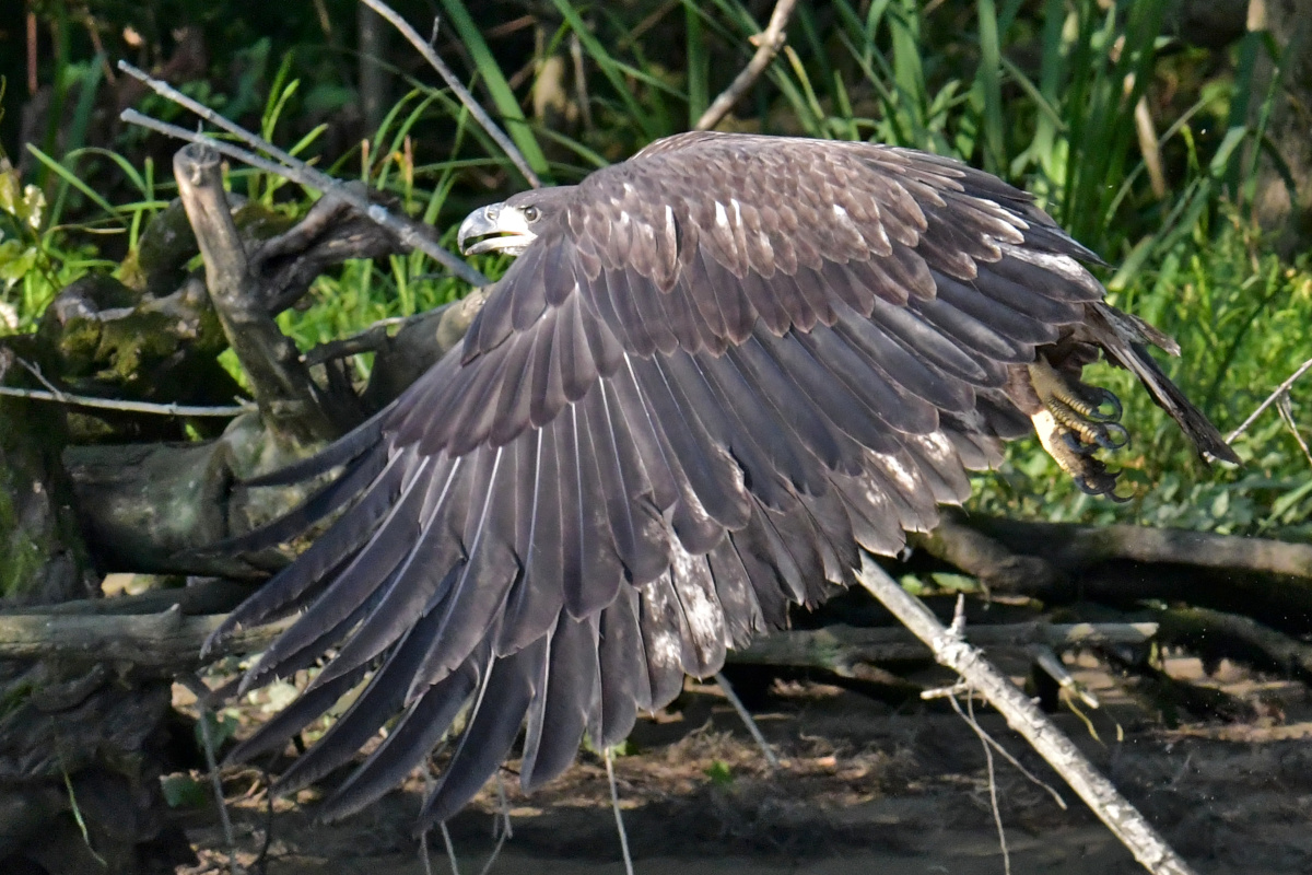 Busy Stockport Flats 04