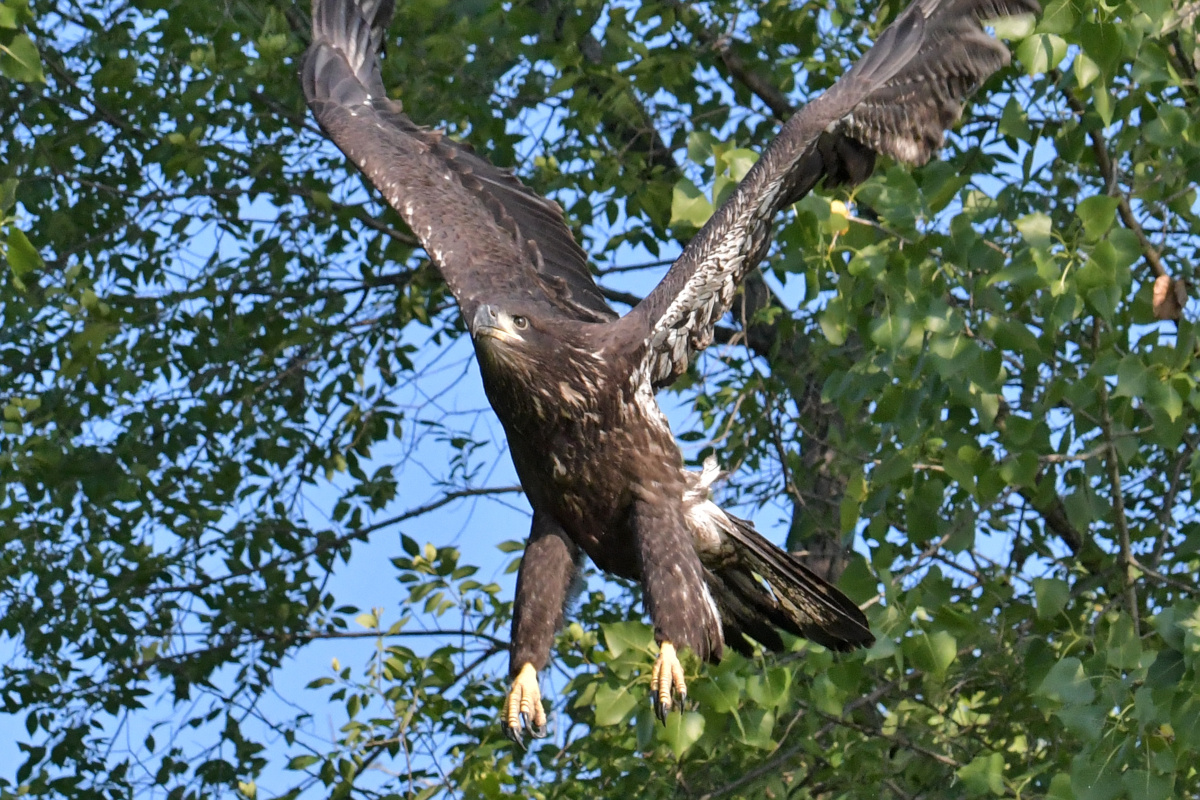 Busy Stockport Flats 06