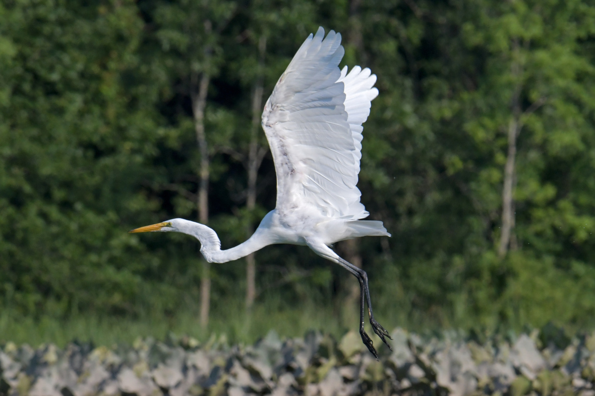 Busy Stockport Flats 10