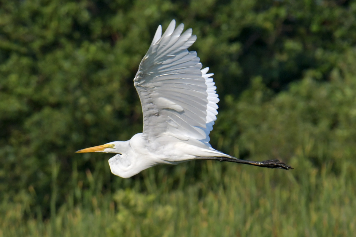 Busy Stockport Flats 11