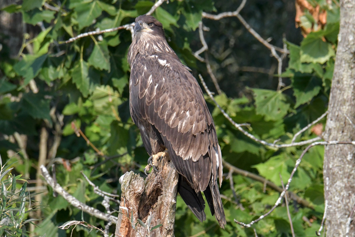 Busy Stockport Flats 12