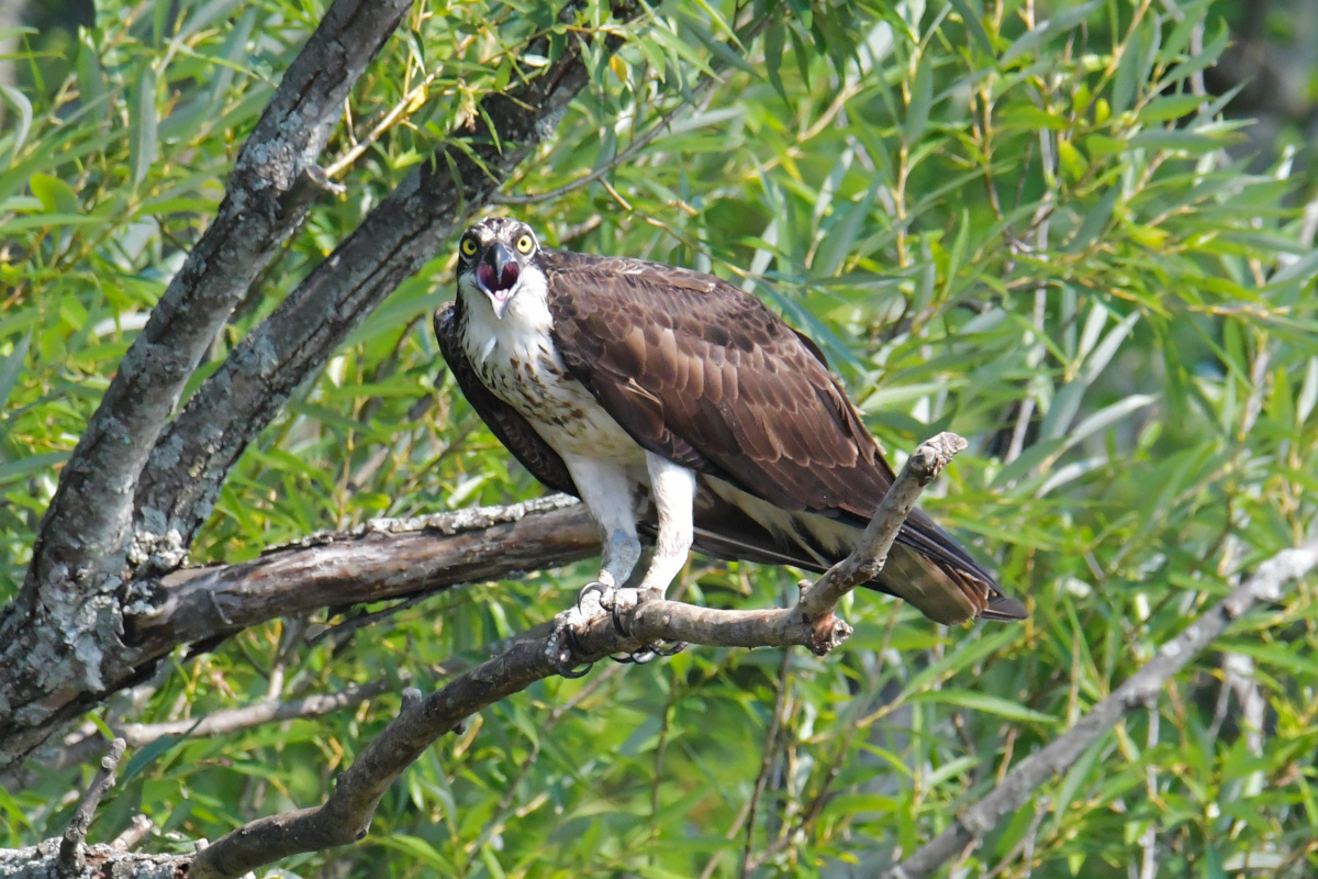 Busy Stockport Flats 14