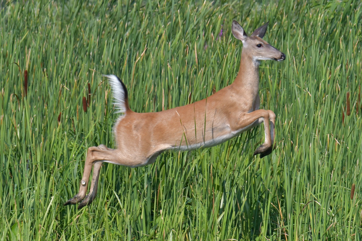 Busy Stockport Flats 15