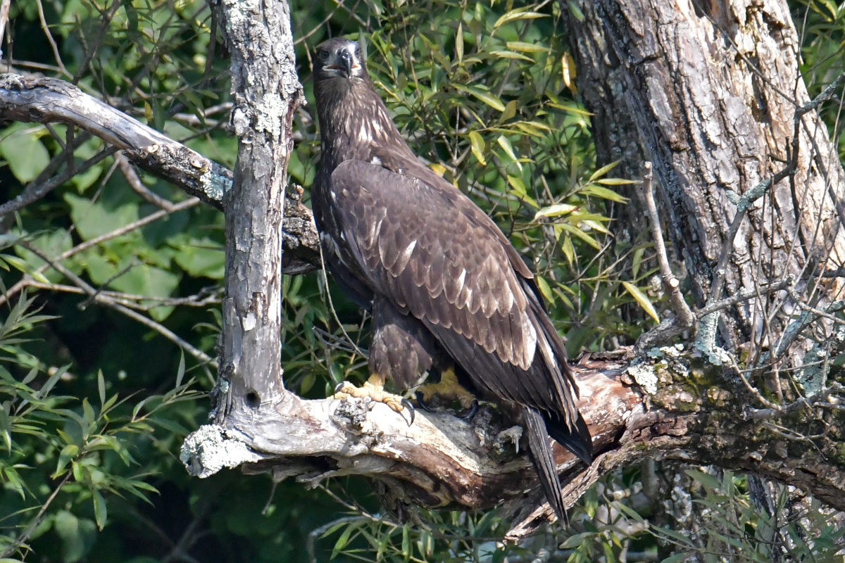Busy Stockport Flats 16