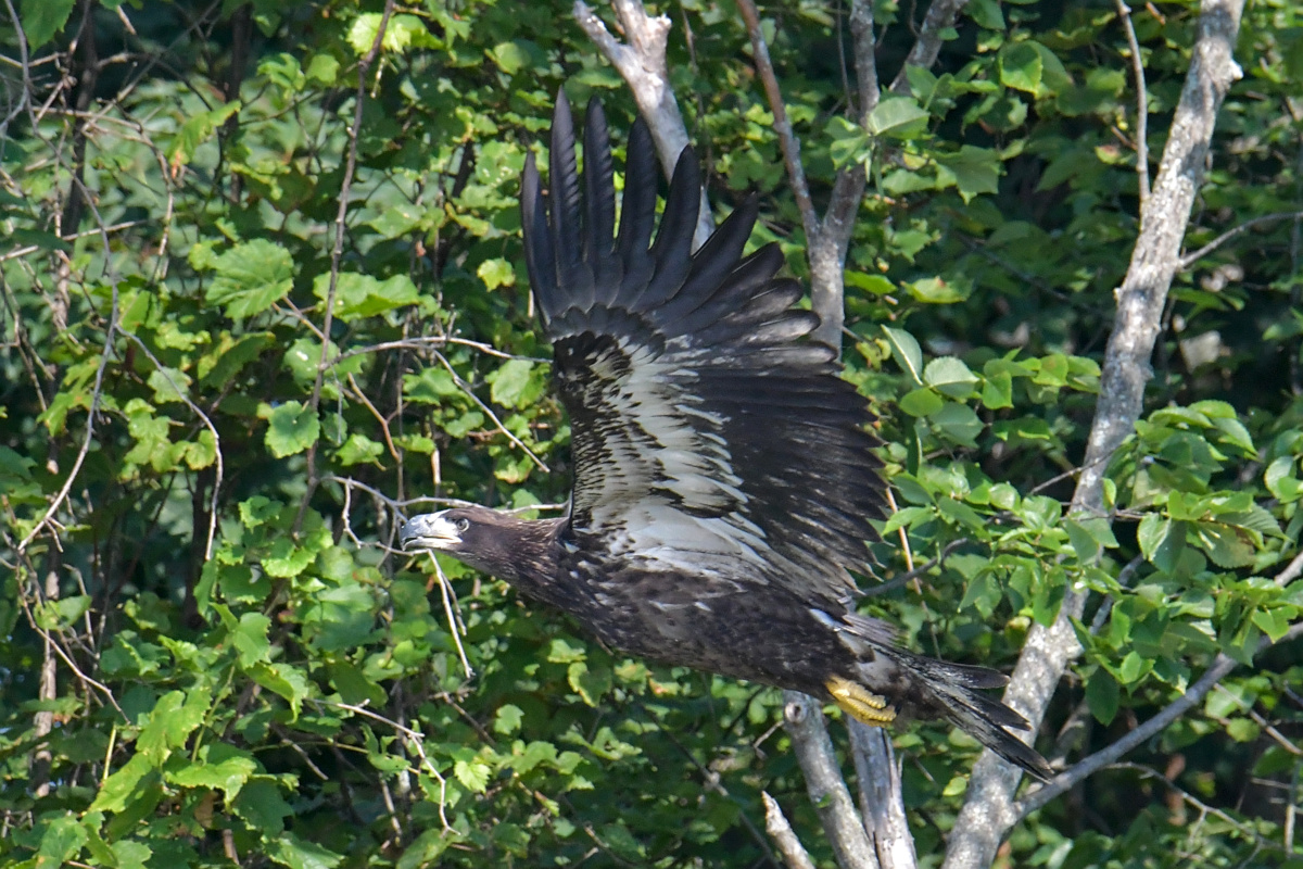 Busy Stockport Flats 17