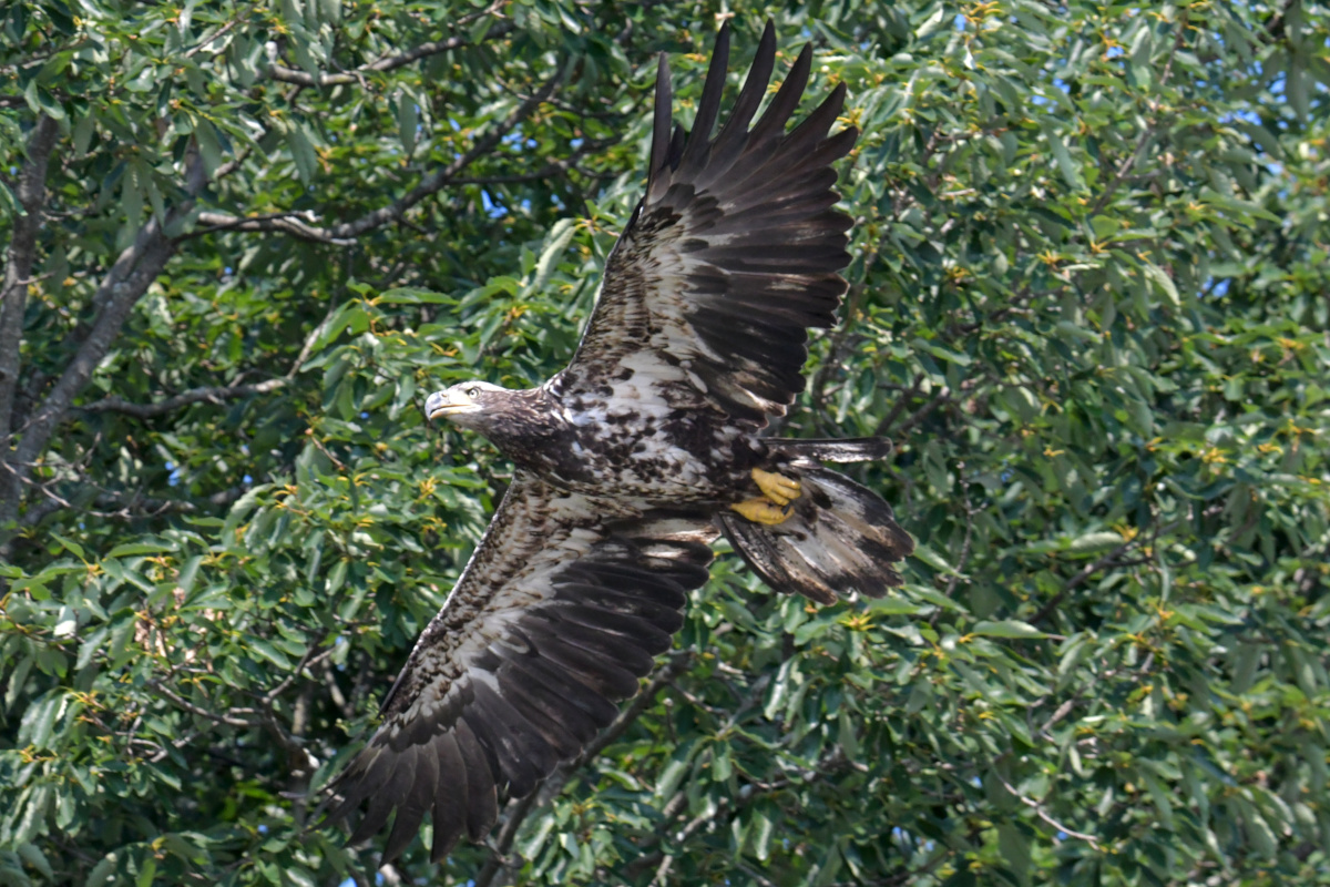 Busy Stockport Flats 21