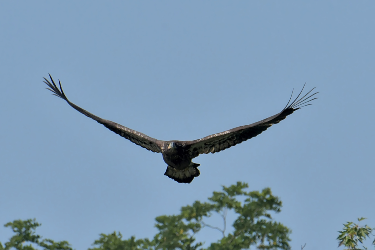 Busy Stockport Flats 23