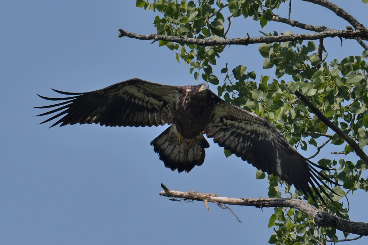 Busy Stockport Flats 24
