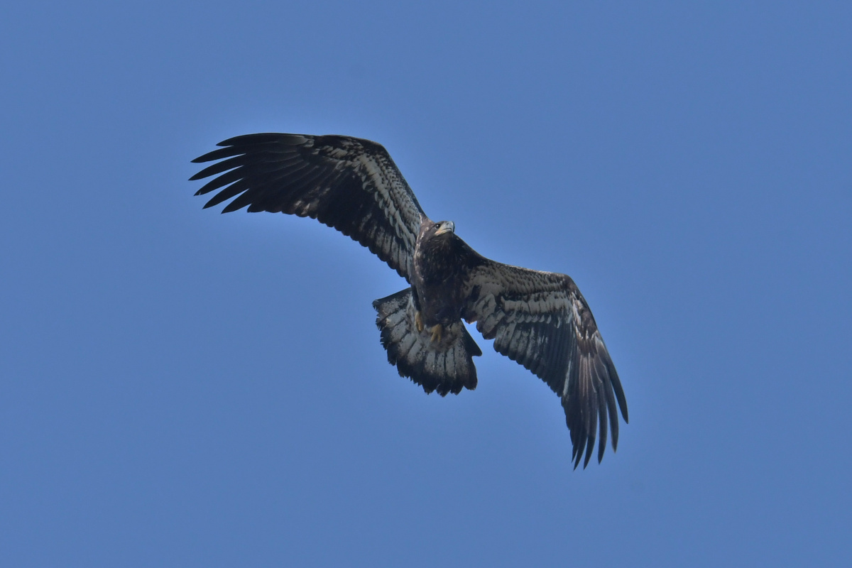 Busy Stockport Flats 25