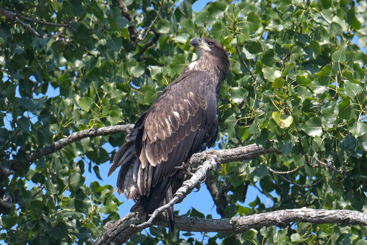 Busy Stockport Flats 26