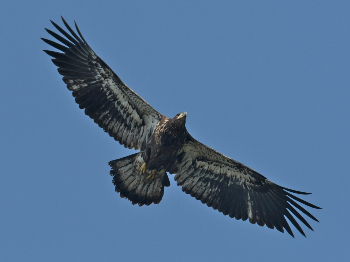 Busy Stockport Flats 27
