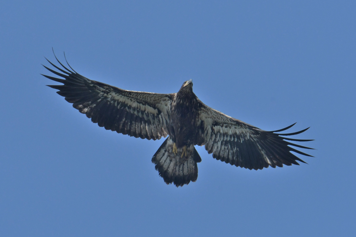 Busy Stockport Flats 28