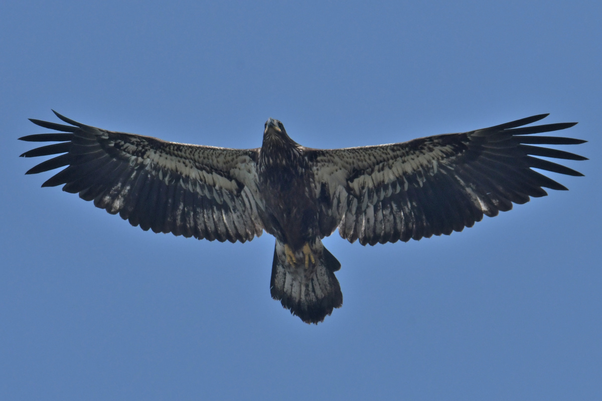 Busy Stockport Flats 29