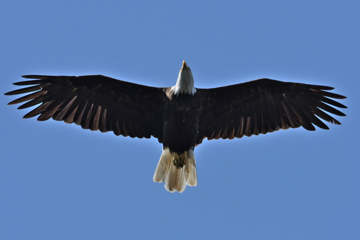 Busy Stockport Flats 30