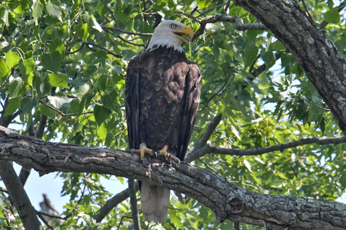 Busy Stockport Flats 31