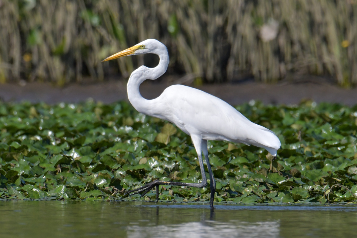 Busy Stockport Flats 34