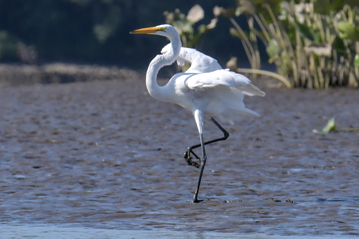 Busy Stockport Flats 35
