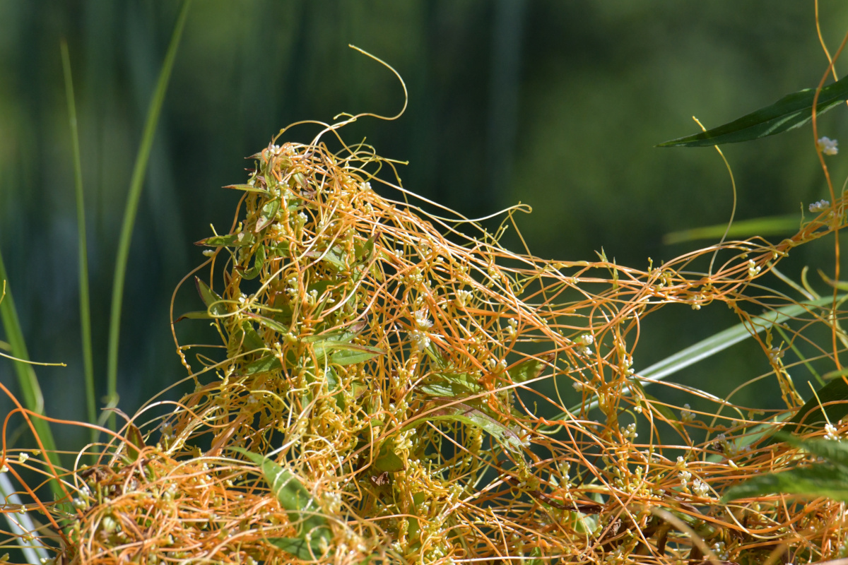 Busy Stockport Flats 37