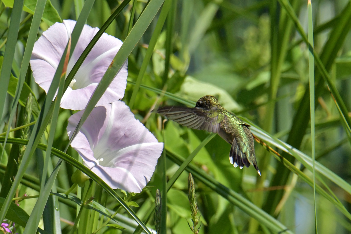 Busy Stockport Flats 38