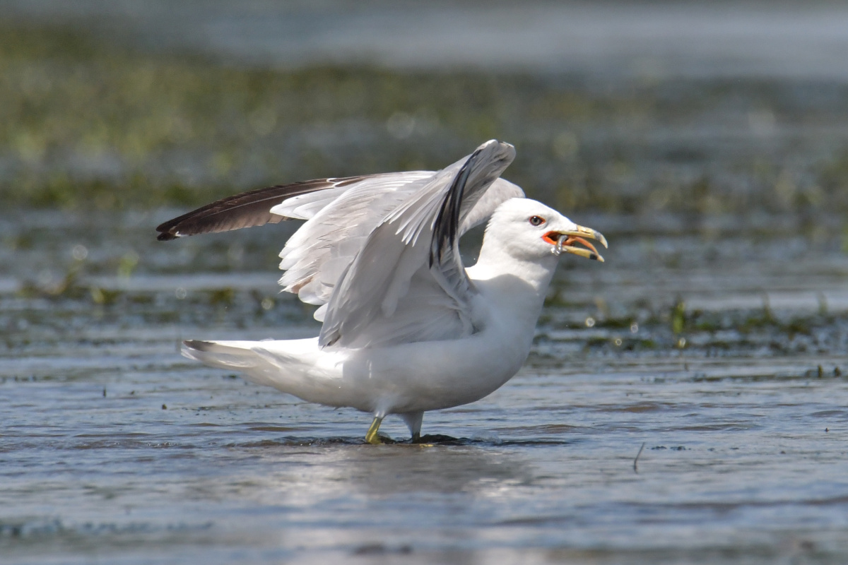 Busy Stockport Flats 40