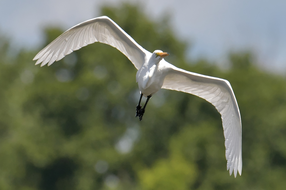 Busy Stockport Flats 69