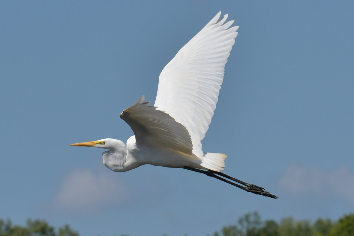 Busy Stockport Flats 72