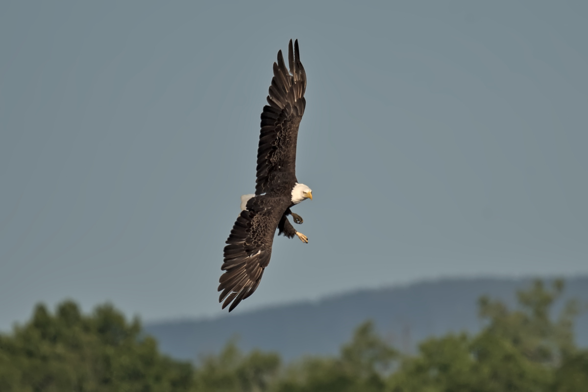 Late Spring at Stockport Flats 04