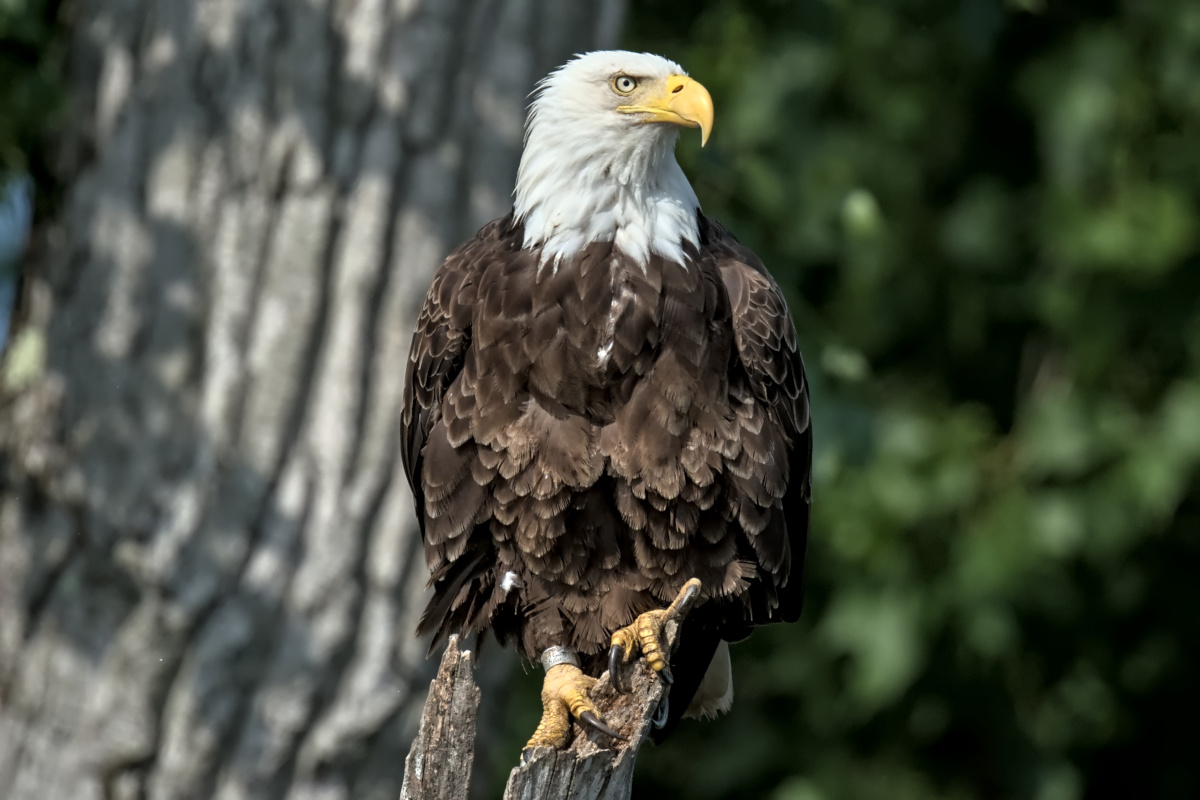 Late Spring at Stockport Flats 31