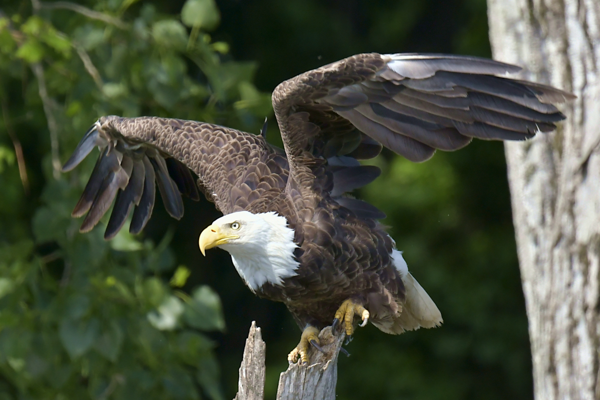 Late Spring at Stockport Flats 32