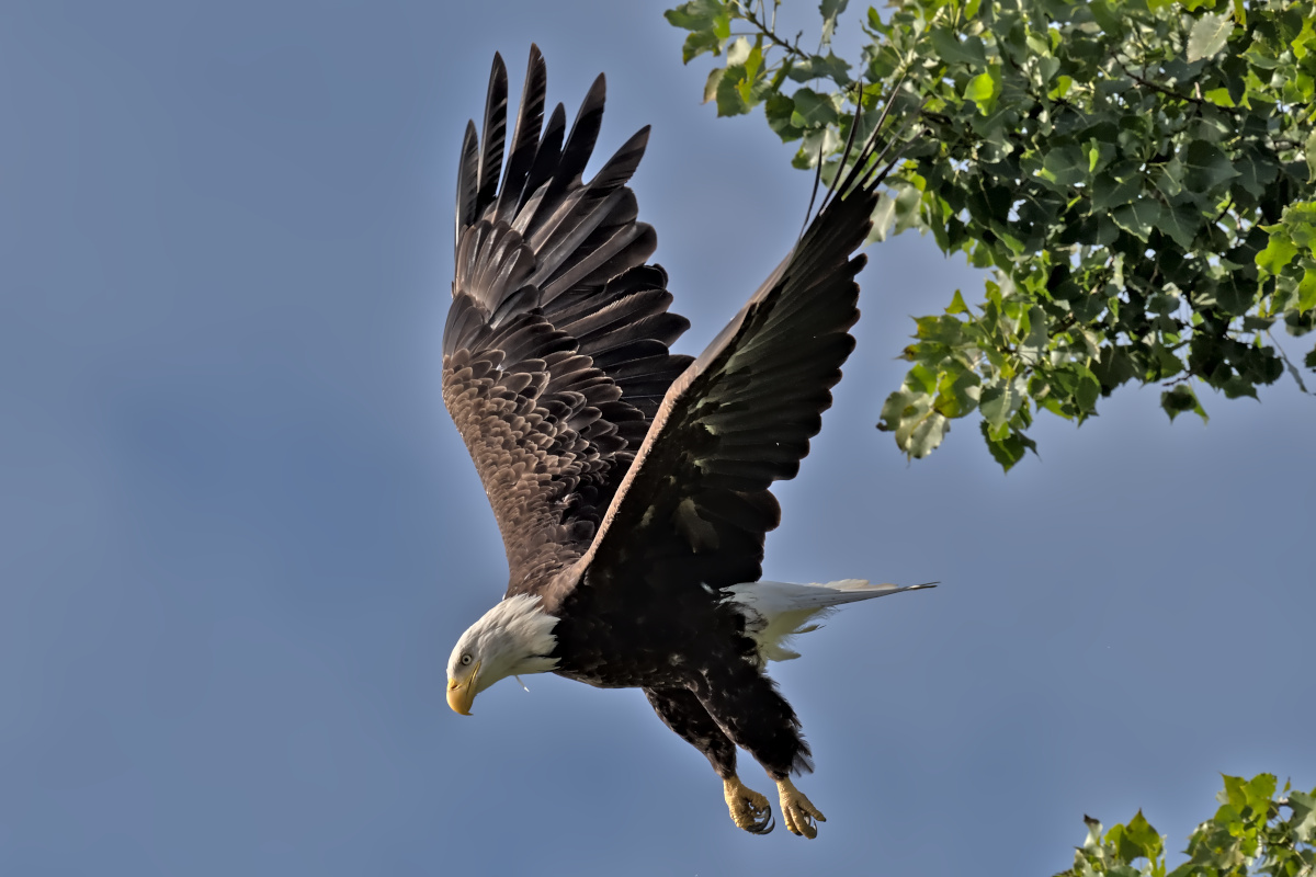 August at Stockport Flats 03