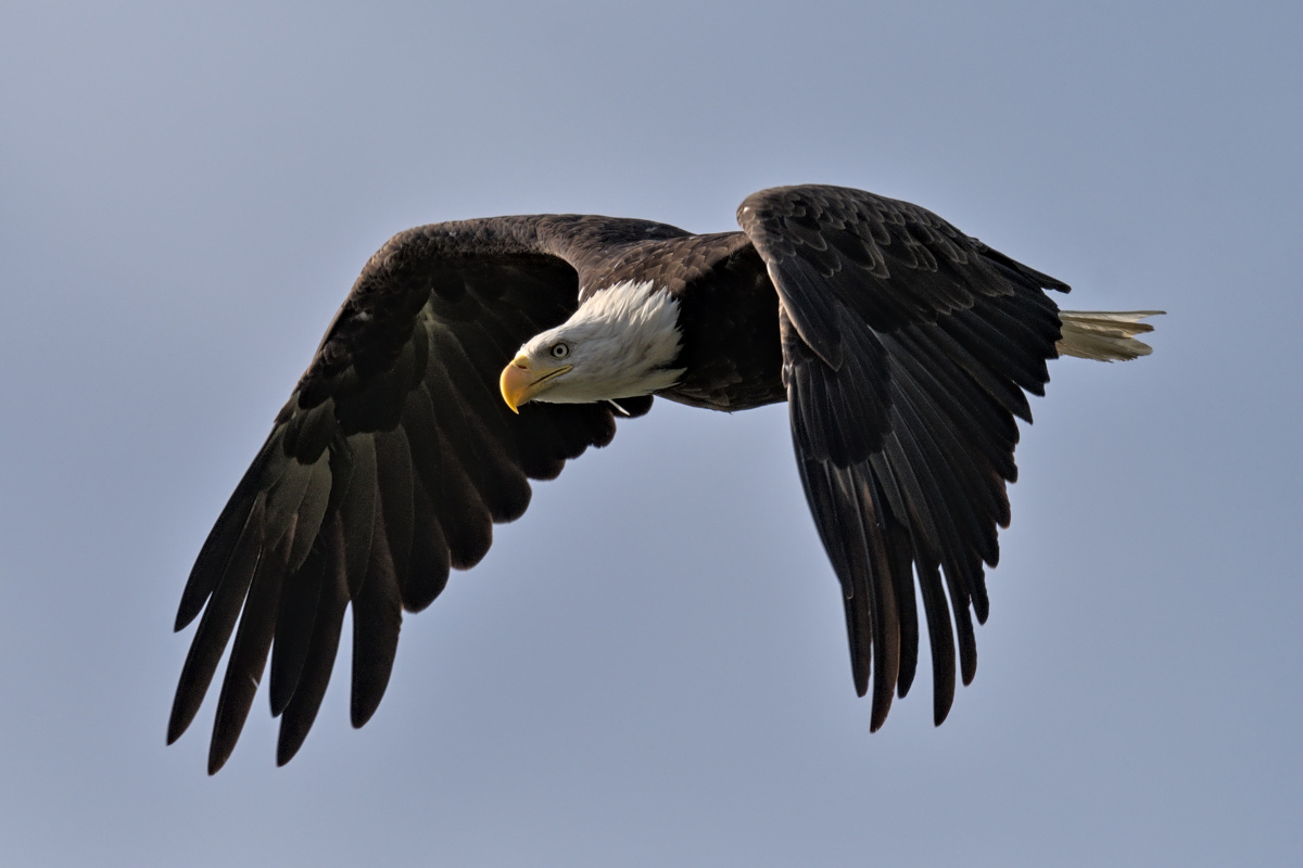 August at Stockport Flats 04