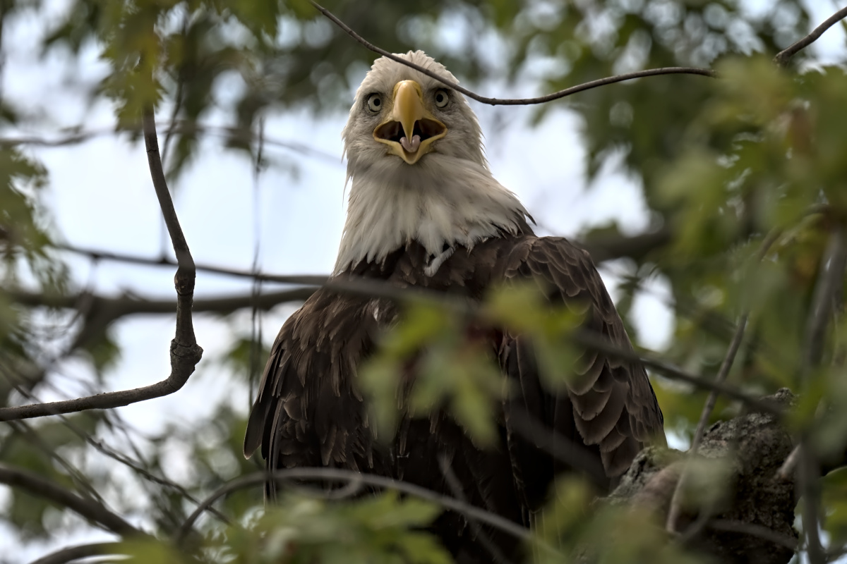 August at Stockport Flats 13