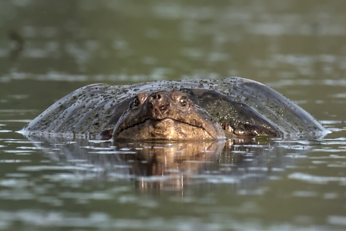 August at Stockport Flats 14