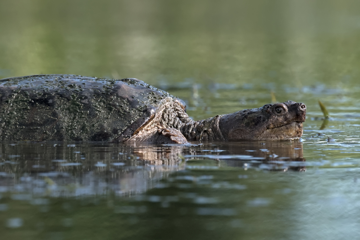 August at Stockport Flats 15