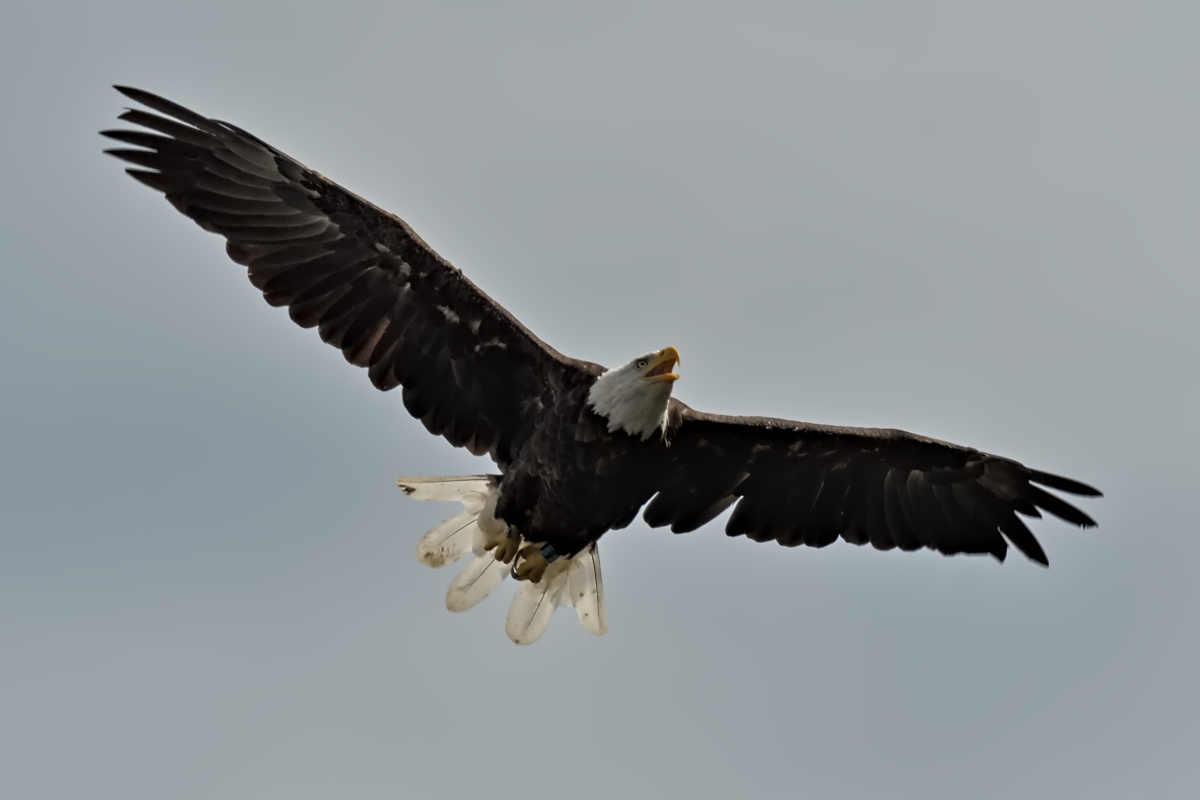 August at Stockport Flats 16