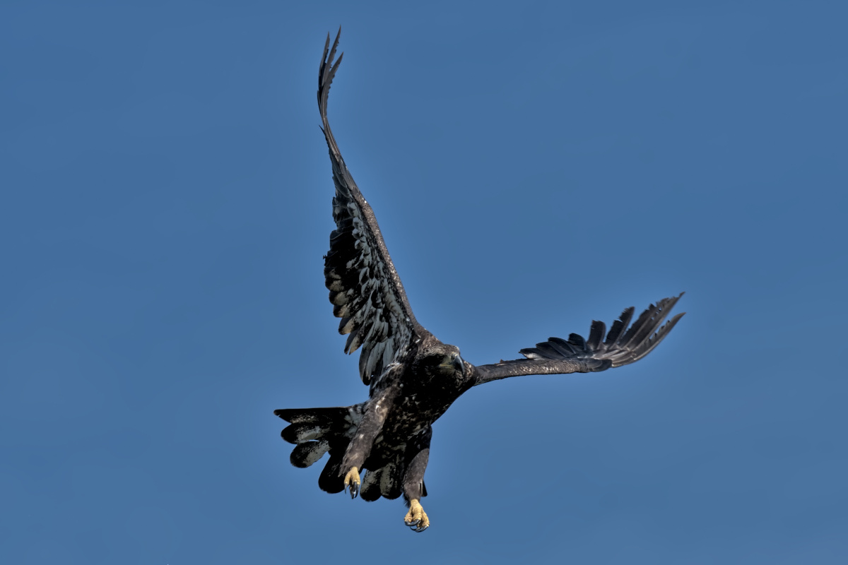 September at Stockport Flats 03