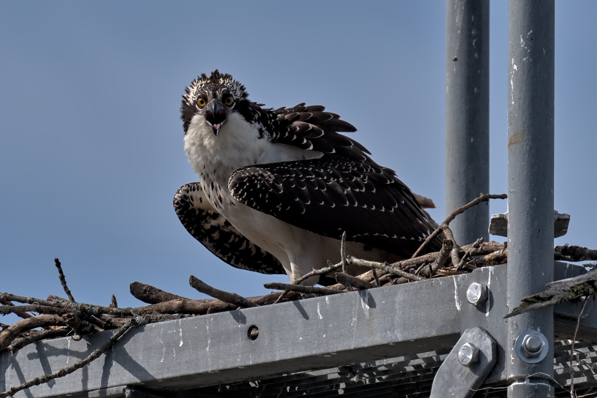 September at Stockport Flats 05